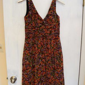 Floral Summer and Fall Dress